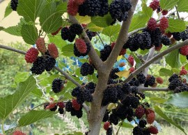 413004_1_1 — kopiya — kopiya